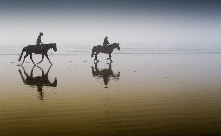 Riding horses by the beach