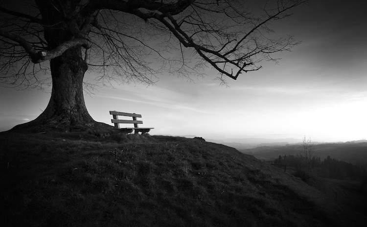 Bench and time alone